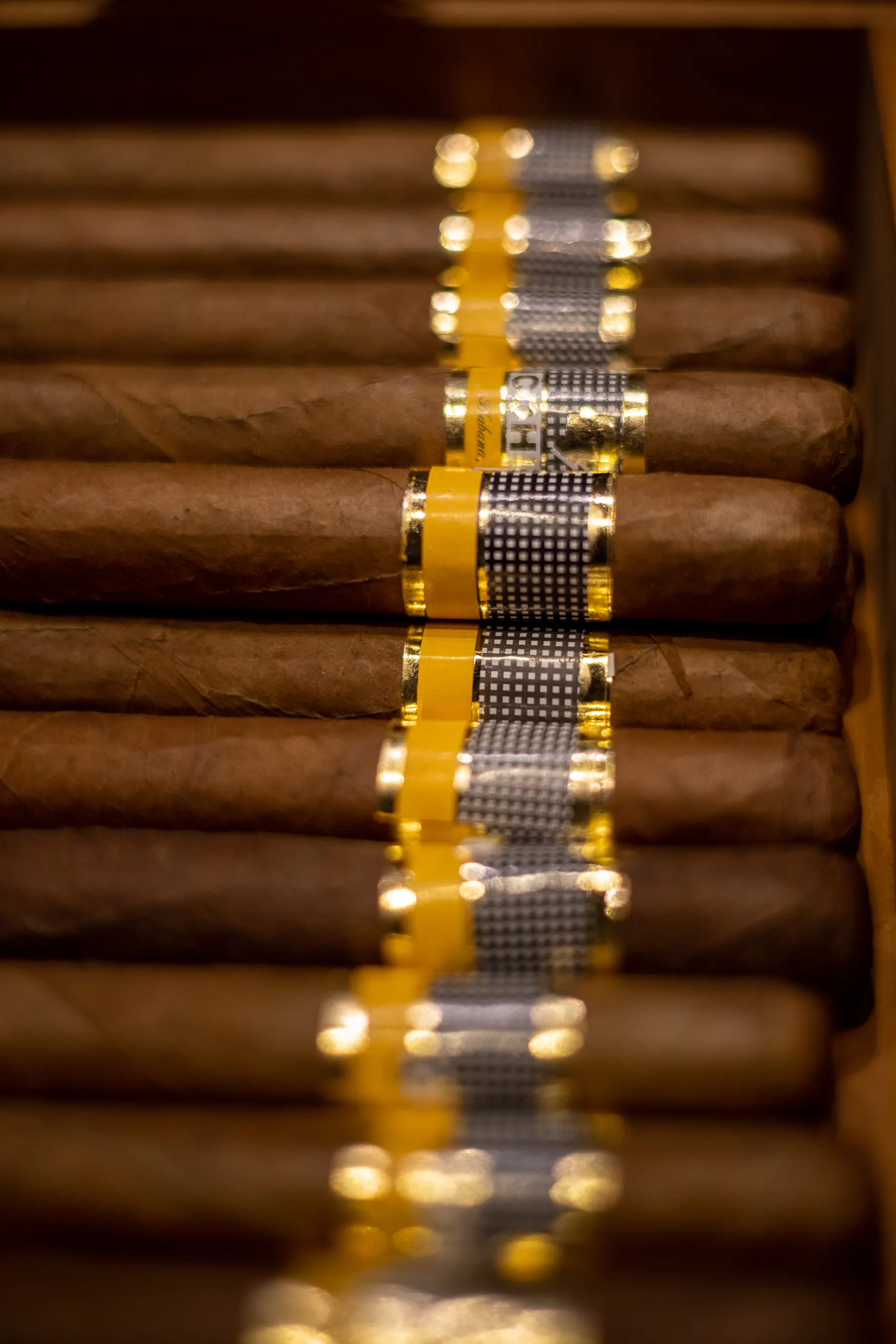 Puros cubanos en estuche